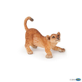 zzPlaying young lion