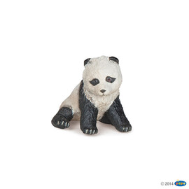 #WildSitting baby panda