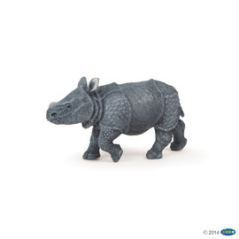 zzIndian rhinoceros calf
