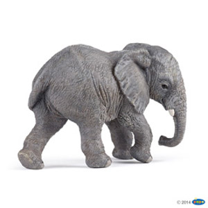 ##WildYoungAfricanElephant