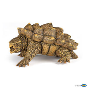 #WildAlligatorsnappingturtle