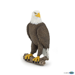 #WildSeaEagle