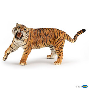 #WildRoaringTiger