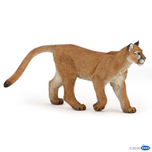 #WildPuma