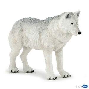 ##WildPolar wolf
