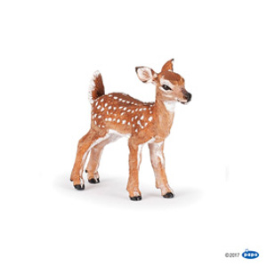 #WildWhite-tailed fawn
