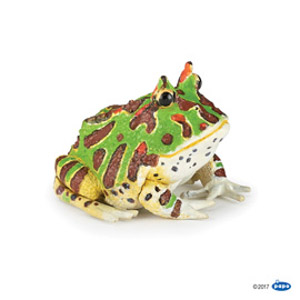 ##WildHorned frog