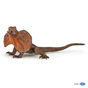 WildFrilled lizard