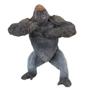 ##WildMountain gorilla