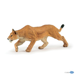 WildLioness chasing
