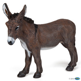 FarmProvence donkey