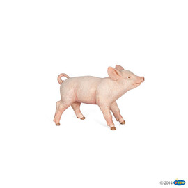 FarmFemale piglet