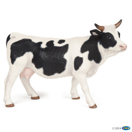 FarmBlack and white cow