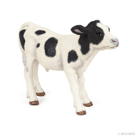 FarmBlack and white calf