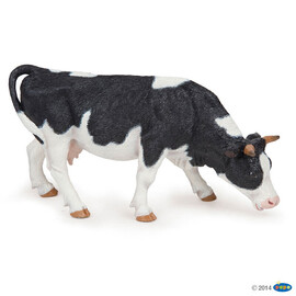FarmBlackandwhitegrazingcow