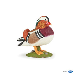 #FarmMandarin duck