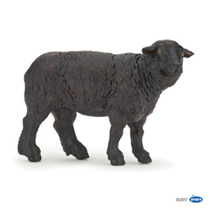 #FarmBlack sheep