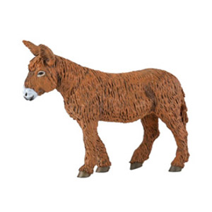#FarmPoitou donkey