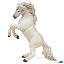 HorseWhite reared up horse