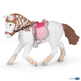 HorseWalking pony