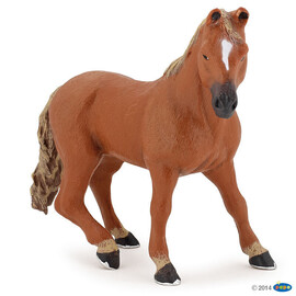 zzHorse AmericanQuarterYello