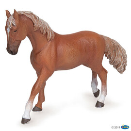 HorseAlezanThoroughbredMare