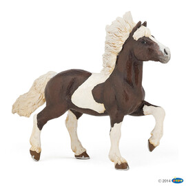zzAlezanpiebaldIslandichorse