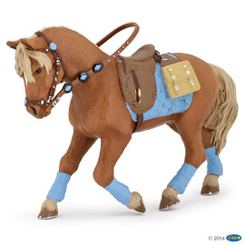 HorseYoung rider's horse