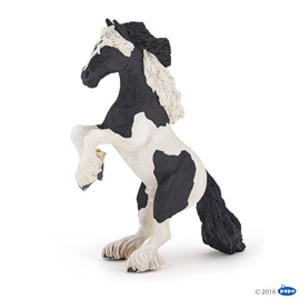 #HorseReared up cob