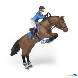 HorseJumpingHorssRidinGirl