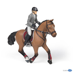HorseCompetitionhorsewithrider