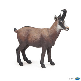 #WildChamois