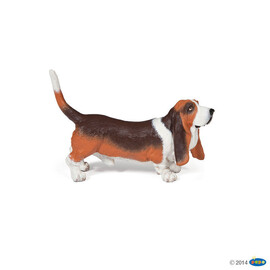 #CompanionBasset hound