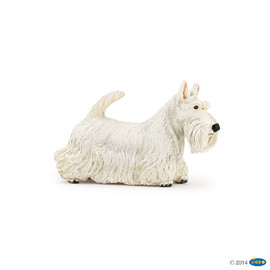 #CompanionWhiteScottishTerrier