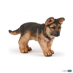 CompanionGerman shepherd pup