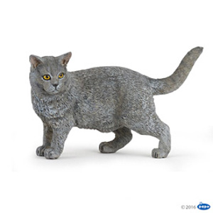 #CompanionChartreux