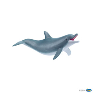 MarinePlaying dolphin