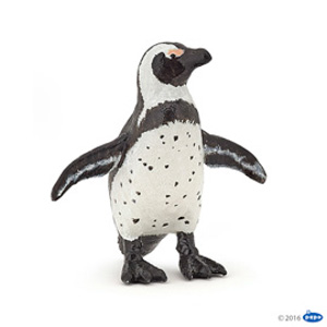 MarineAfrican penguin