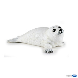 MarineBaby seal