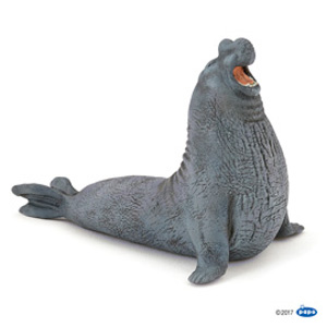 MarineElephant seal
