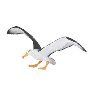 MarineAlbatross