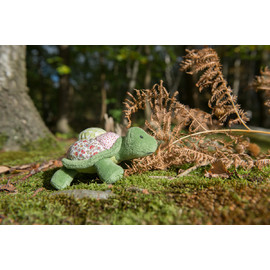 Terry Large Tortoise(1)