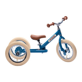 Blue Trike / Bike (Vintage)