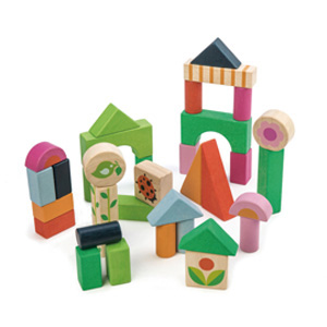 Courtyard Blocks (Bag)