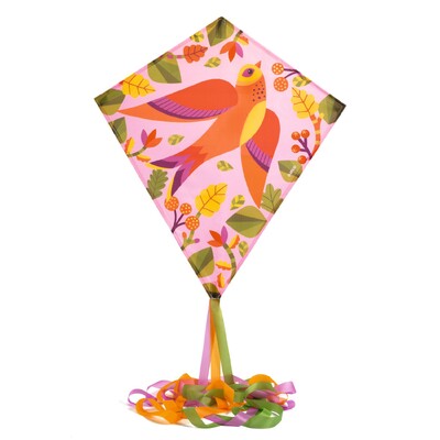 Buy Djeco Birdy Kite wholesale at Kaleidoscope Australasia Pty Ltd