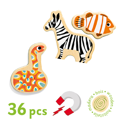 WoodMagneticPiecesMagnimo MOQ2