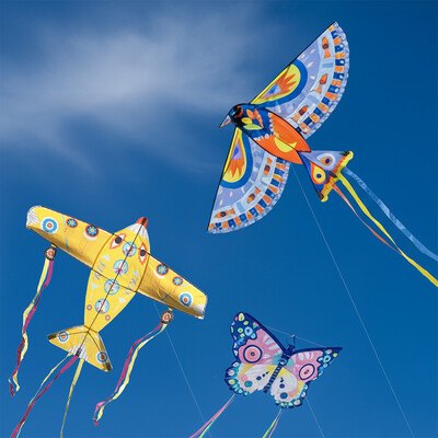 Buy  Djeco Maxi Kite 5 Pack - 3 Assorted Designs wholesale at Kaleidoscope Australasia Pty Ltd
