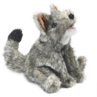 Coyote Small ]$