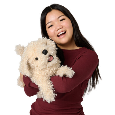 Buy Folkmanis White Poodle Puppy Puppet wholesale at Kaleidoscope Australasia Pty Ltd