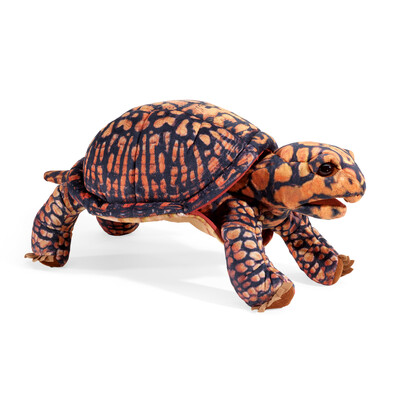 Buy Folkmanis Box Turtle Puppet wholesale at Kaleidoscope Australasia Pty Ltd